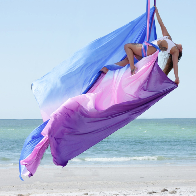 Aerial Yoga Swing, Durable Nyl - Pilates And Yoga Studio review and price